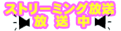 �Ǝ��h���C���Ƃɂ����s����